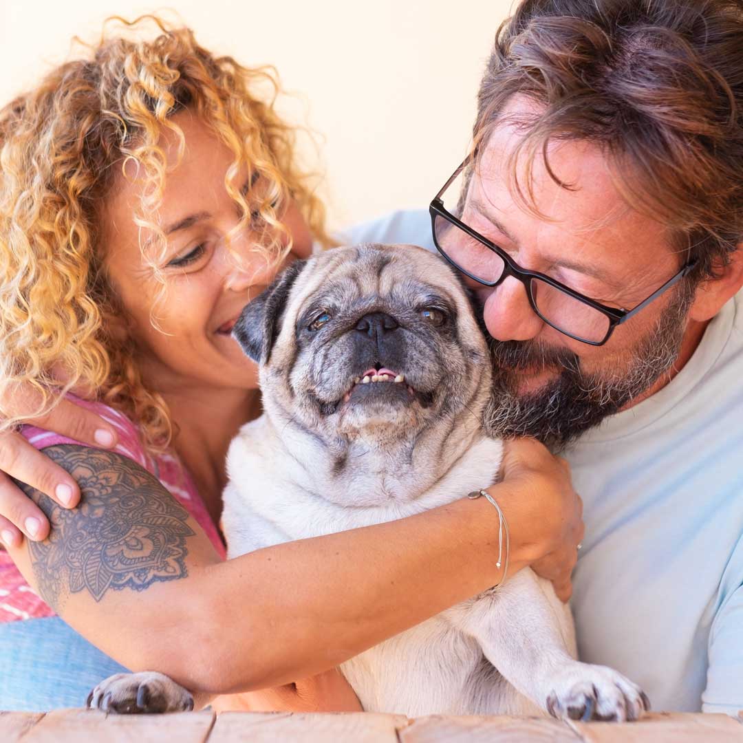 couple with senior pug